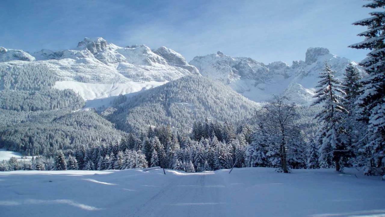 Berg Chalet أنابيرغ ام لاميرتا المظهر الخارجي الصورة