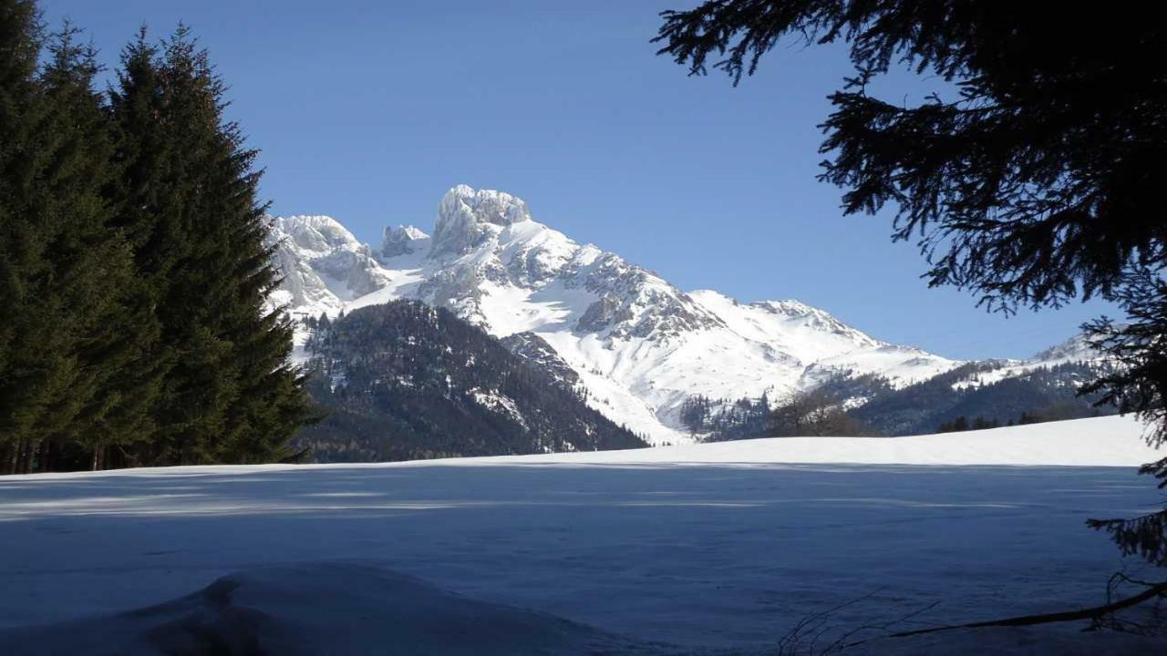 Berg Chalet أنابيرغ ام لاميرتا المظهر الخارجي الصورة